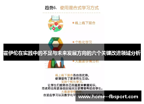 霍伊伦在实践中的不足与未来发展方向的六个关键改进领域分析